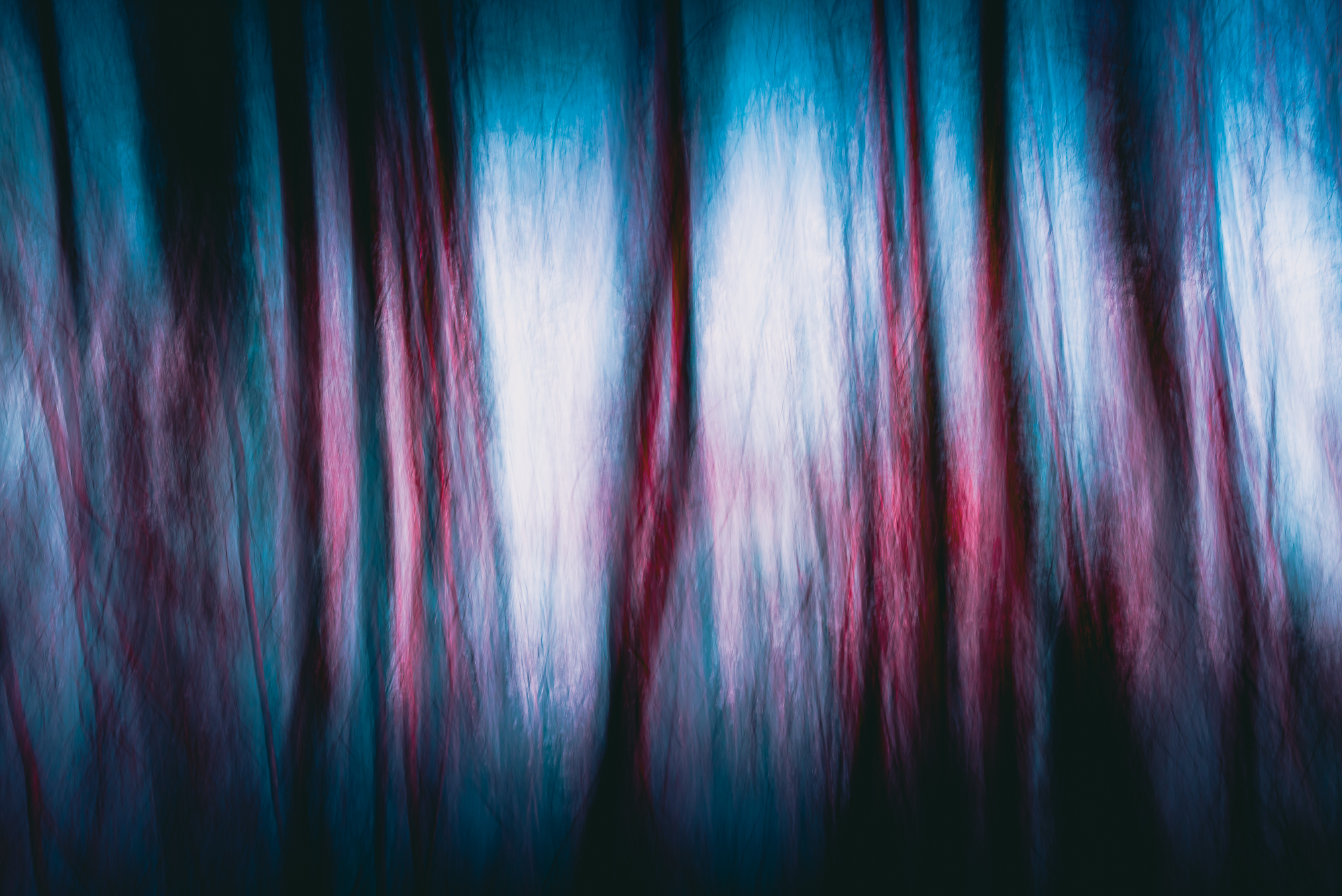 3-Jeux de lumière dans les arbres (REP139-98184)