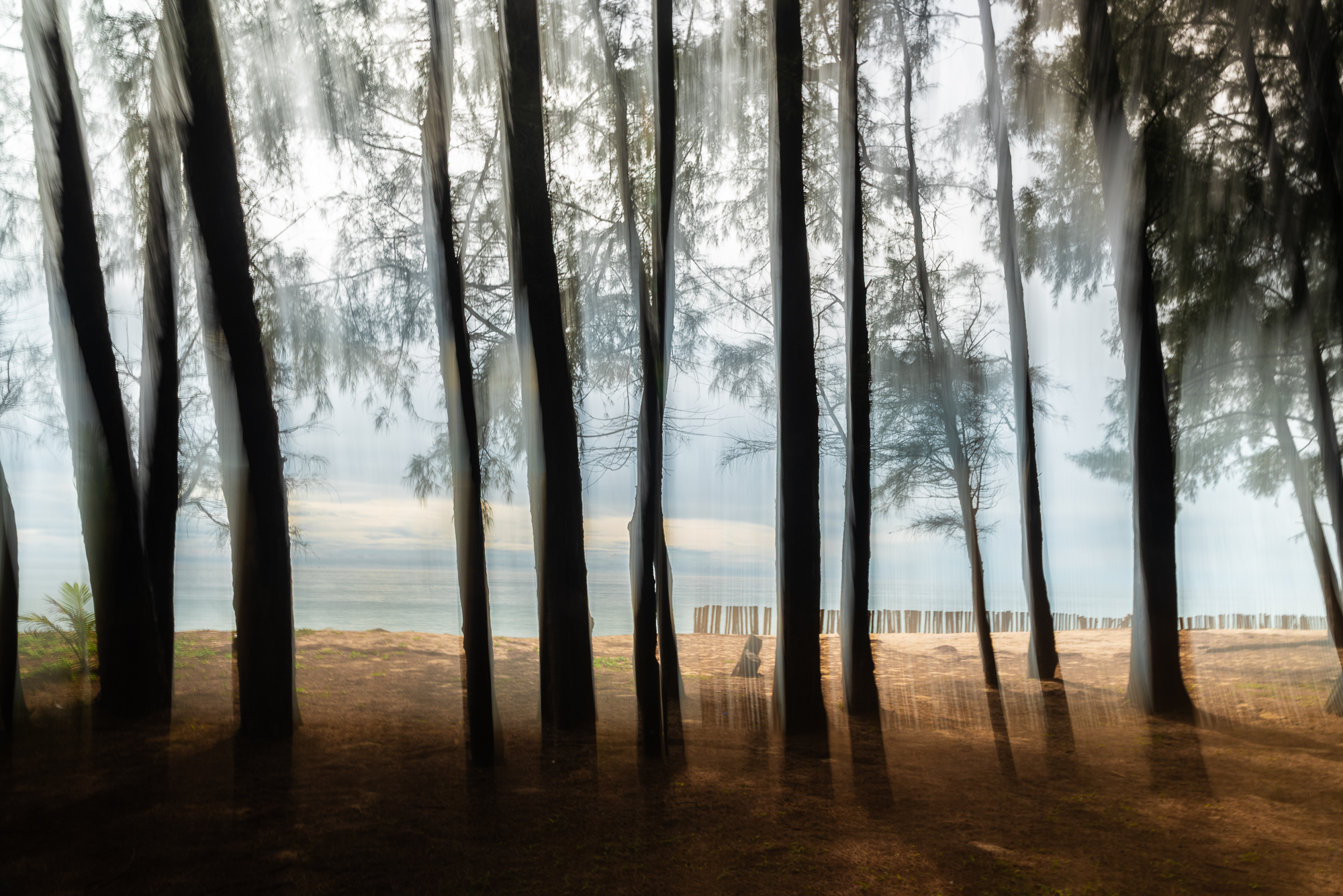 3-Phang Nga Thailande (REP144-100111)