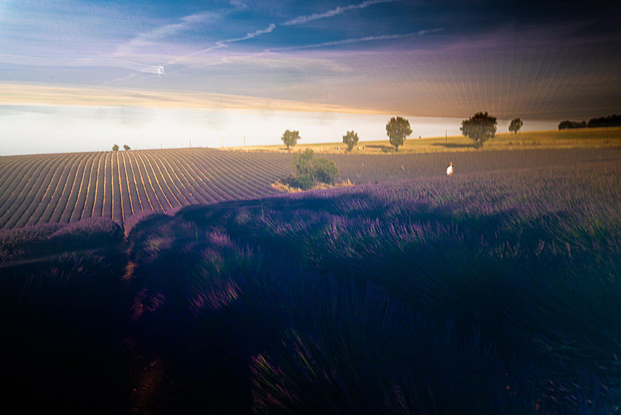 3-Valensole France (REP143-102491)