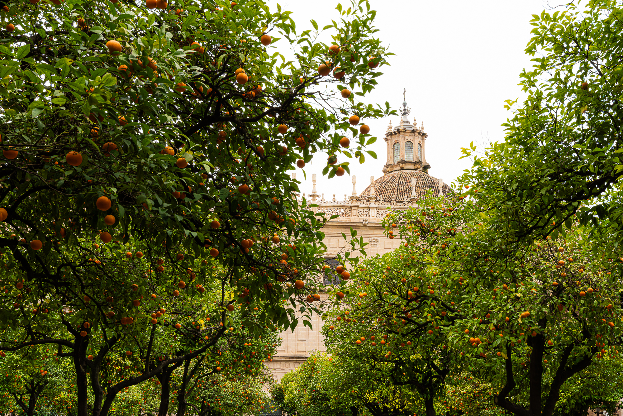 3.Cathedrale de Seville (REP151-104238)