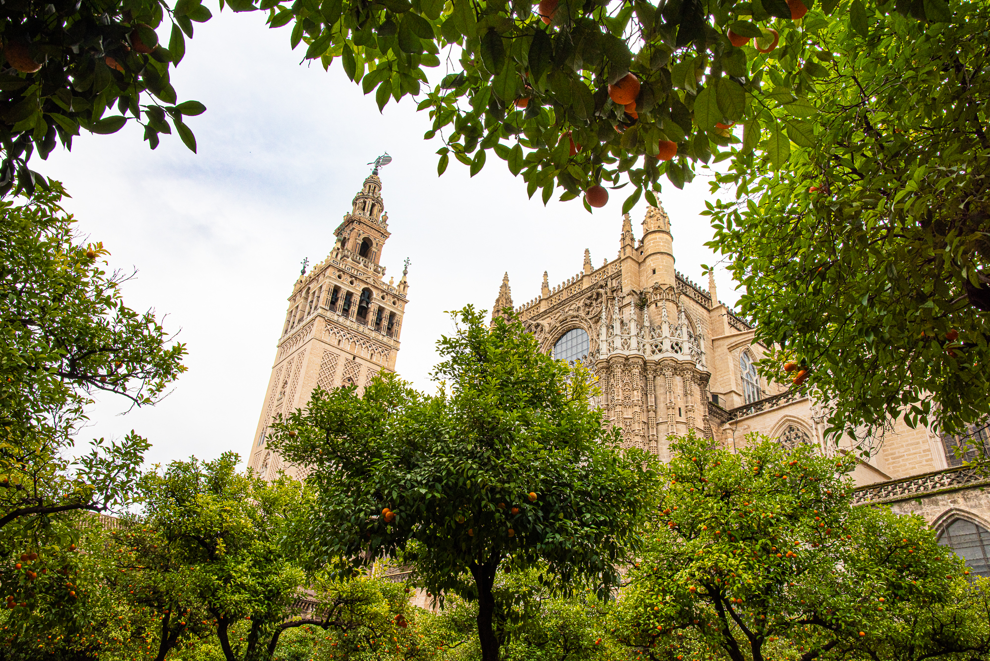 3.Cathedrale de Seville (REP151-104254)