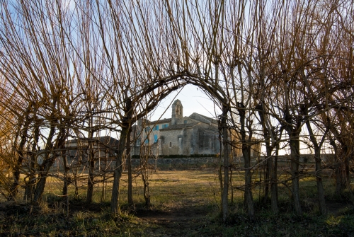 Abbaye de Salagon, Mane (REP005_14600)
