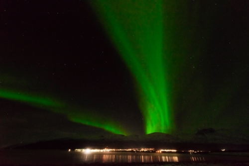 Aurore Boréale Tromso (REP099_83599)