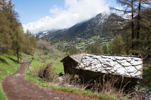 Autour du Cervin-Zermatt (REP019_45228)