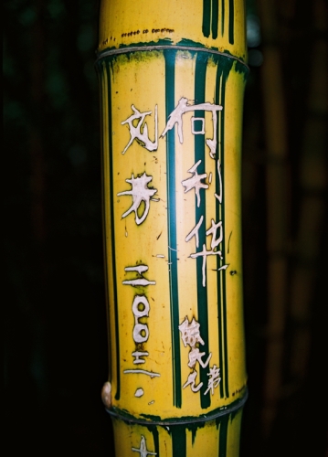 Bambou gravé Canton (REP053-00283)
