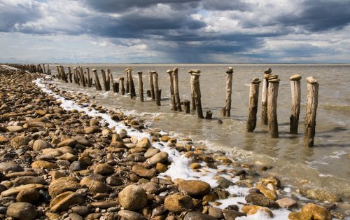 Beauduc (REP036-18825)