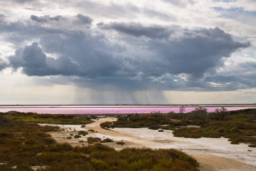 Beauduc (REP036-18851)