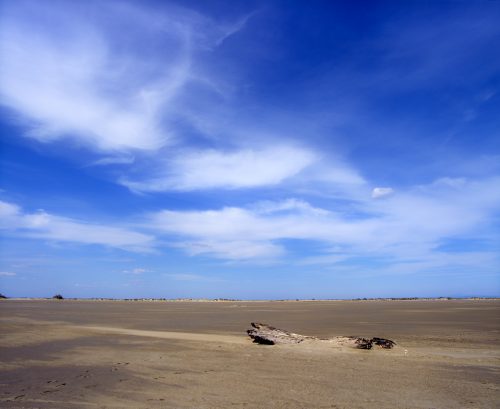 Beauduc (REP036-4345)