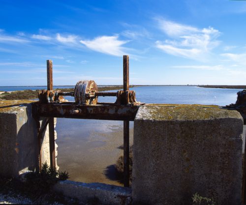 Beauduc (REP036-4507)