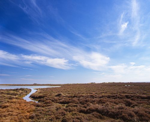 Beauduc (REP036-4508)