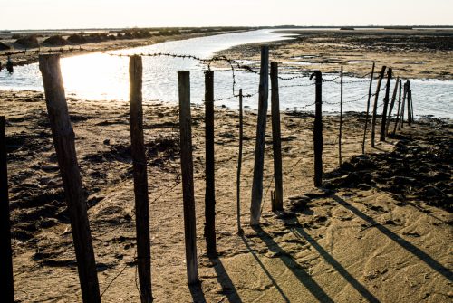 Beauduc (REP036-8144)