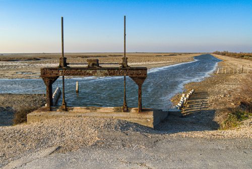 Beauduc (REP036-8154)