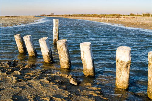 Beauduc (REP036-8155)