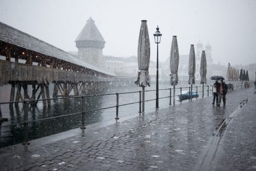 Berges du Lac Lucerne (REP114-43453)