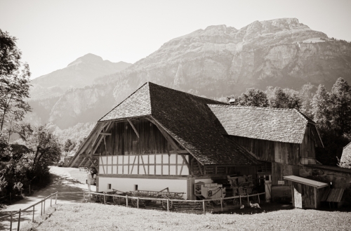 Chalet Suisse (REP008_18355)