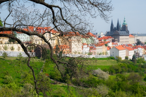 Chateau Prague (REP082_50135)