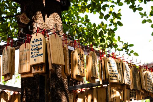 Chiang Mai (REP128-101132)