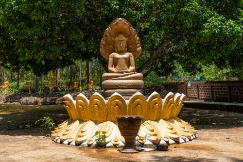 Chiang Mai (REP128-101343)