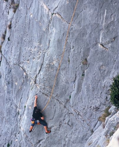 Falaises Gorges du Verdon (REP037-00099)