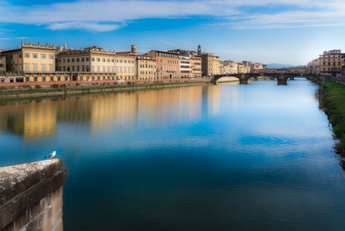 Florence traversée par l'Arno (REP088-65111)