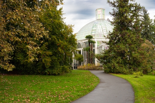 Jardin botanique Geneve (REP068-93381)