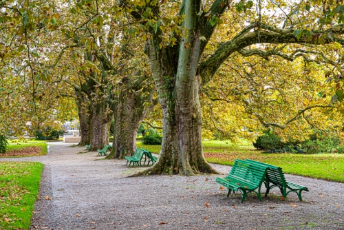 Jardin botanique Geneve (REP068-93430)