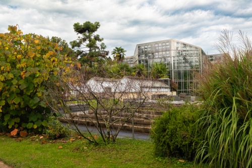 Jardin botanique Geneve (REP068-93479)