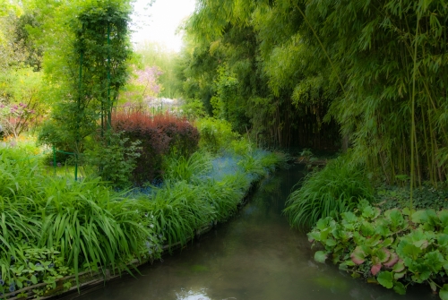 Jardin de Monet Giverny (REP012_29857)
