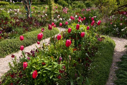 Jardin de Monet Giverny (REP064-29808)