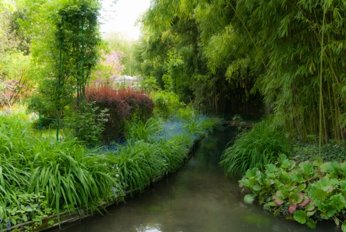 Jardin de Monet Giverny (REP064-29857)