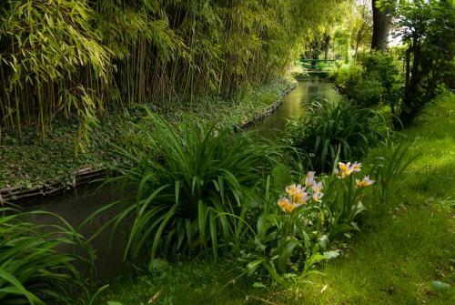 Jardin de Monet Giverny (REP064-29859)