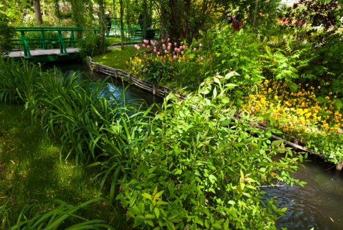 Jardin de Monet Giverny (REP064-29861)