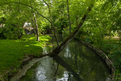 Jardin de Monet Giverny (REP064-29885)