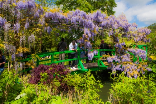 Jardin de Monet Giverny (REP064-29926)