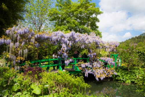 Jardin de Monet Giverny (REP064-29928)