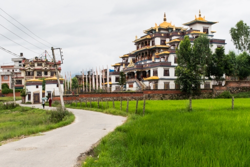 Khawalung Tashi Choeling Monastery Katmandou (REP080_52566)