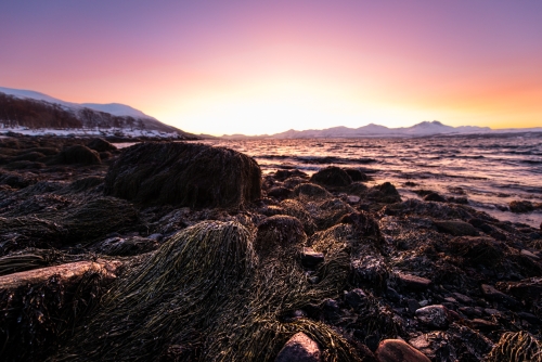 La plage de Tromso (REP099_83564)