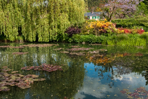 Lac de nenuphars Monet Giverny (REP06-29870)