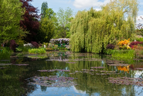 Lac de nenuphars Monet Giverny (REP06-29882)