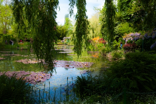 Lac de nenuphars Monet Giverny (REP06-29894)