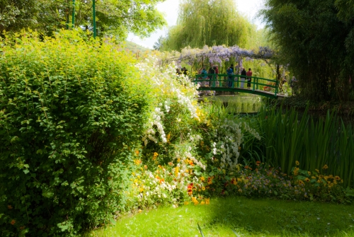 Lac de nenuphars Monet Giverny (REP06-29935)