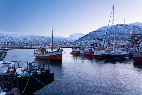 Le port de Tromso (REP099_83162)
