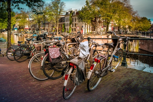 Les vélos Amsterdam (REP029-41741)