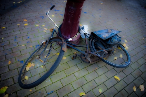 Les vélos Amsterdam (REP029-42058)