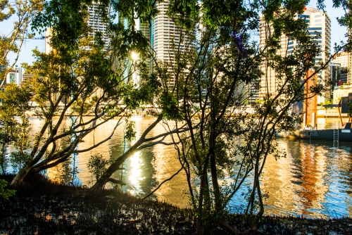 Lever de soleil sur les quartiers d'affaires Brisbane (REP071_64412)