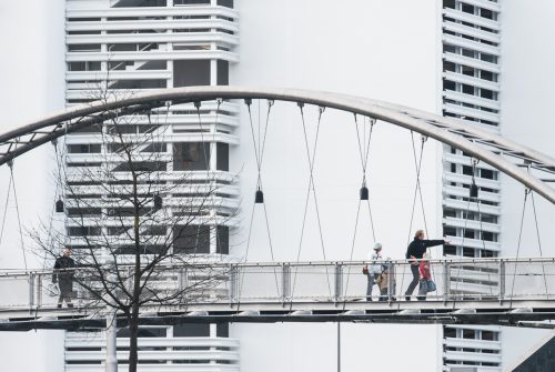 Lucerne (REP114-20614)