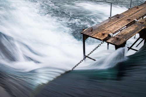 Lucerne (REP114-20647)