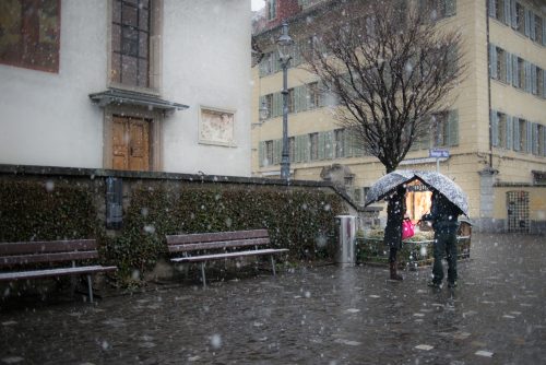 Lucerne (REP114-43452)