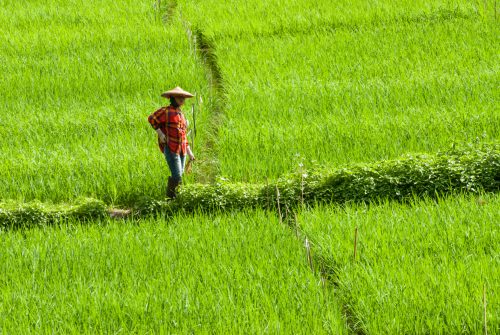 Mae Hong Son (REP128-24562)