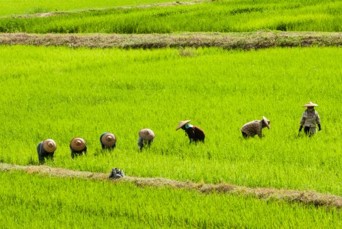 Mae Hong Son (REP128-24577)